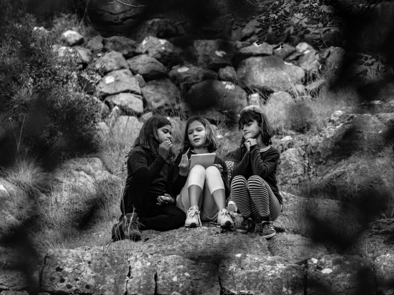 OLYMPUS DIGITAL CAMERA